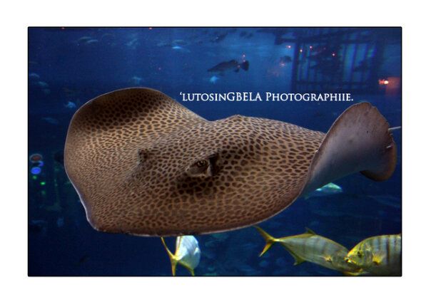 487185_3988991476597_889762479_n