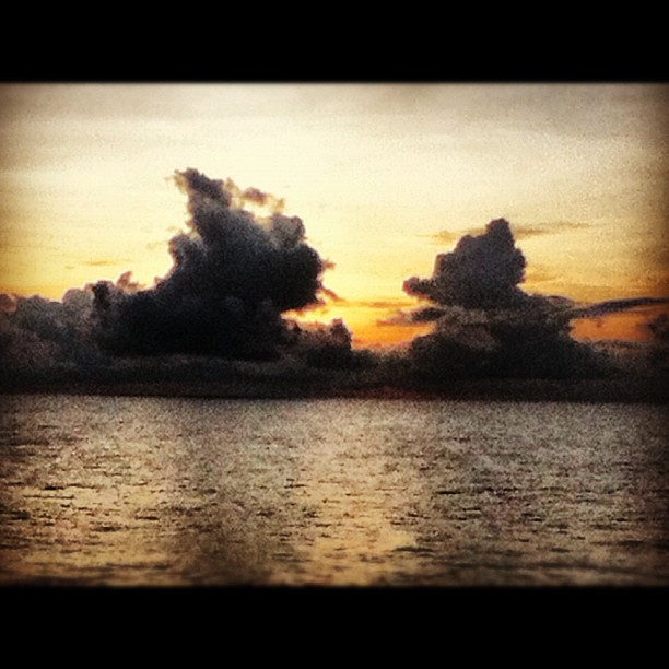 204659038725260233_37004783